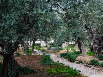 Γεθσημανή, Ιεροσόλυμα